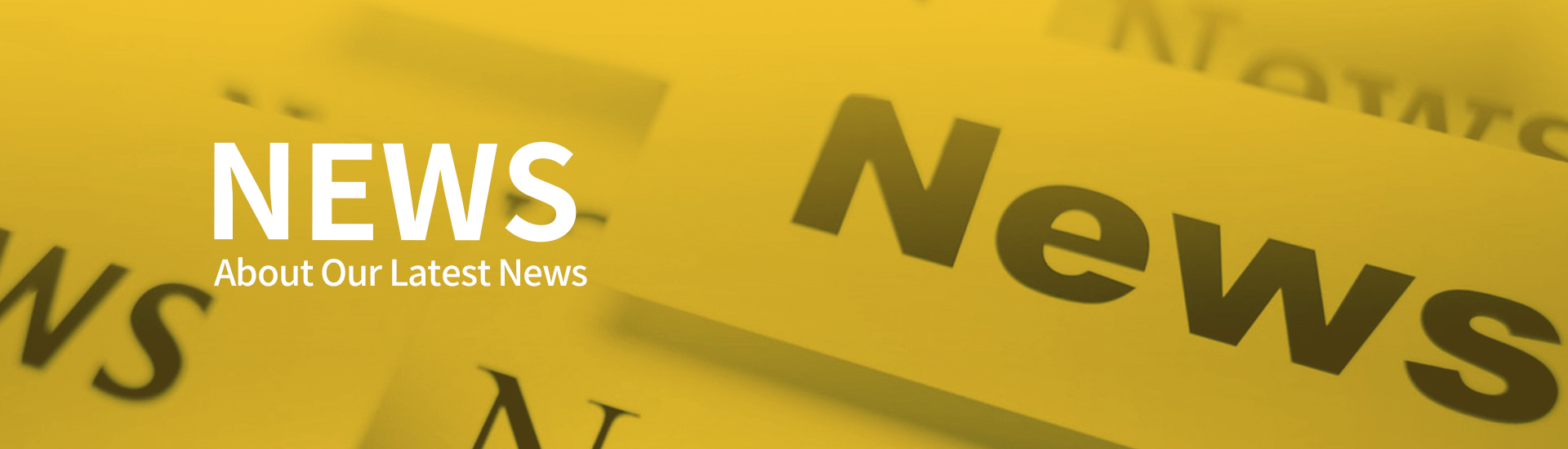 Grocery franchise Store