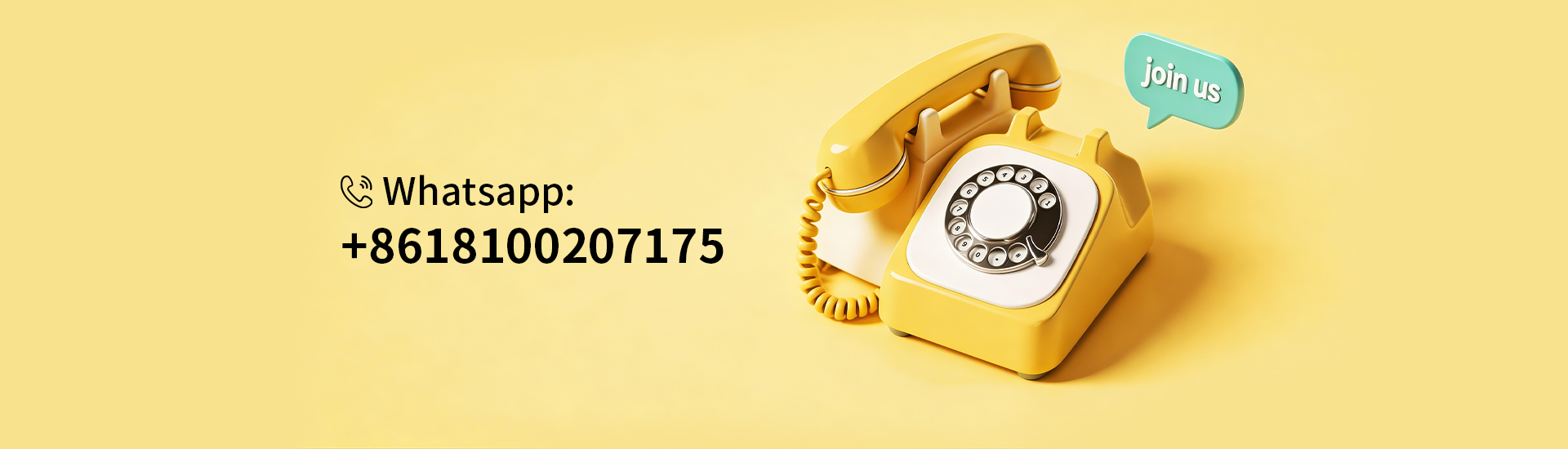 International Franchise Opportunities